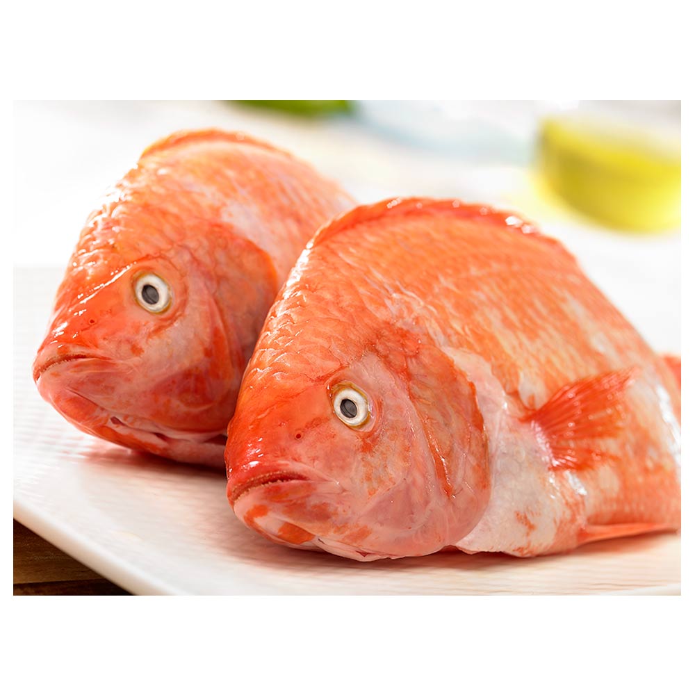 Resultado de imagen para mojarra roja